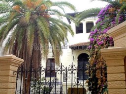 Mula Antigua serie-2